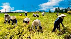 លៃទុកអាទិភាពវិនិយោគសំរាប់កសិកម្ម-កសិករនិងជនបទ។